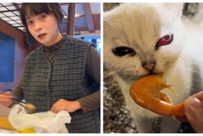 Китаянка с социальной тревожностью спасла 120 кошек, собирая остатки еды со свадеб
