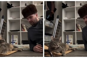 Мужчина в стиле Михаила Круга объяснил своему коту, где находится лоток