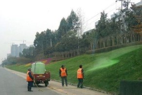 Озеленители в Китае (4 фото)