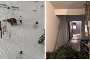 Жители Барнаула пытались украсть дворовую елку