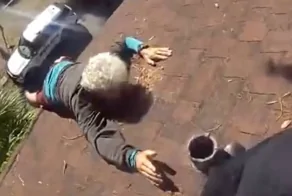 В Тампе полицейские спасли 86-летнего мужчину, повисшего на крыше дома