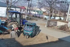 Кабан врезался в мотороллер