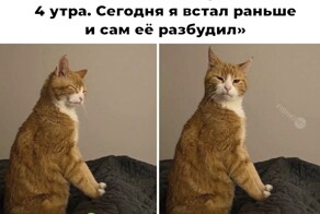 Смешные картинки