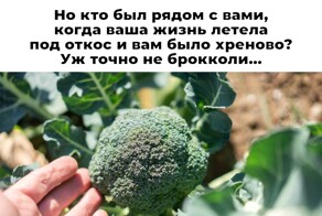Смешные картинки