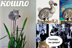 Баран кигну и бульб-терьер: новые каламбуры и лингвошутки