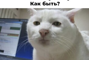 Скрины из соцсетей