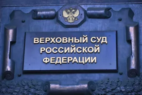 Сайт Верховного суда «лёг» после публикации решения по делу Долиной
