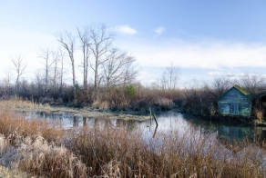 Финское болото (34 фото)