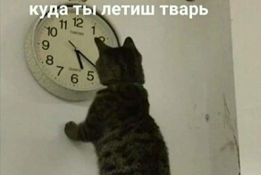 Время ускоряется не только в физике: научное объяснение, почему годы летят быстрее с возрастом