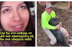 Фермер исполнил странное желание незнакомки