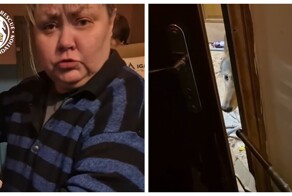 «Домашний» волк не пустил киевлянку в квартиру из-за стресса