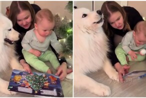 Пёс "озвучивает" вьюгу