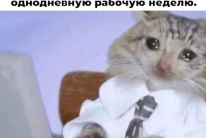 Не ищите здесь смысл. Здесь в основном маразм