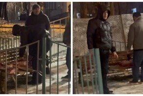 В Москве мигранты разделывали тушу на детской площадке