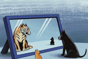 Картинки со&nbsp;смыслом