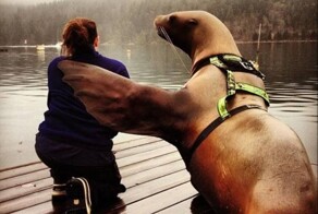 Намешалось