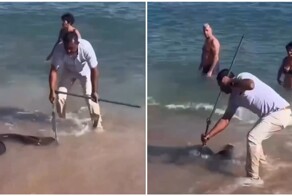 Мурена укусила туриста на пляже в Египте