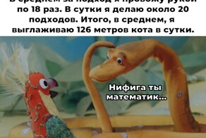 Смешные картинки