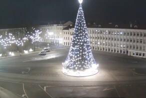 Ещё один новогодний вредитель