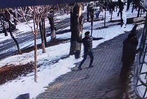 Посетитель зоопарка кидал в тигров снежками, стараясь их "расшевелить"