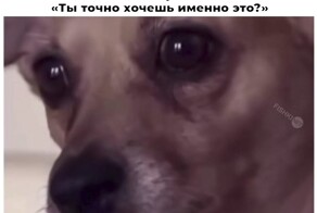 Смешные картинки