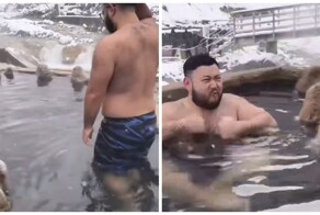 Мужчина искупался рядом с японскими макаками