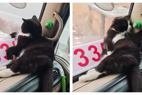 Самый важный пассажир