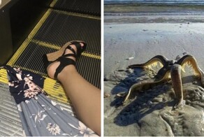 19+ фотографий, способных вызвать неприятные эмоции и даже ужас у самых впечатлительных