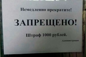 29 декабря: пользователи мессенджеров бросают вызов Роскомнадзору в Таганском суде