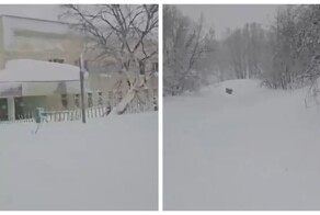 Врач на Камчатке ползком пробирался через сугробы, чтобы доставить кровь в детскую больницу