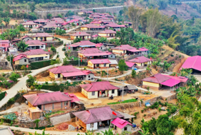 Штрафы за любовь: деревенский комитет в Китае попытался регулировать браки и детей