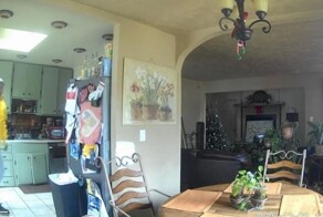 «Один дома» в реальной жизни: 12-летний мальчик дал отпор рождественскому грабителю