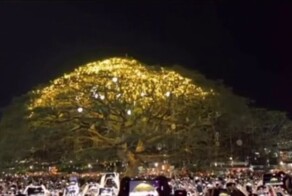 В Индии украсили самое большое рождественское дерево во всей Азии