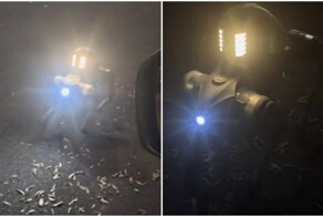 Робопёс заговорил с полицейским с индийским акцентом