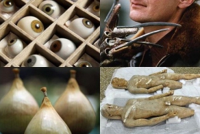 Странные находки таможенников (7 фото)