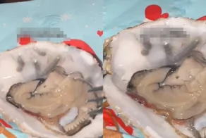 Роскошный ужин с сюрпризом