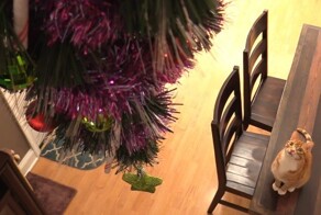 22  проверенных способа защитить новогоднее чудо и сохранить нервы