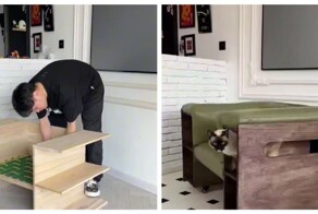 Кресло для кошатников