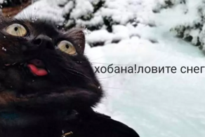 Зимняя радость без риска. Педиатры развеяли популярный миф о зимней забаве