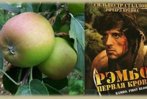 Интересное и познавательное (20 фото)