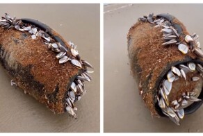 Колонка несколько месяцев находилась в воде и до сих пор работает