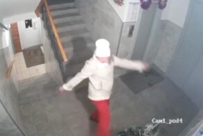 Жительница Омска разгромила новогоднюю ёлку в подъезде