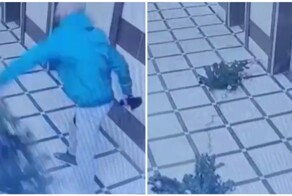 Мужчина сломал новогоднюю елку, стоявшую в подъезде