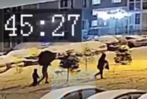 Семейная пара спилила ёлку во дворе жилого дома в Подмосковье