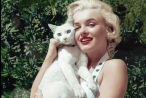 23 винтажных снимка, демонстрирующих неразрывную связь знаменитостей с их пушистыми компаньонами