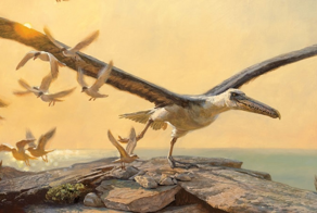 Крупнейшая птица в истории Земли