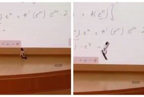 Пушистый учитель математики