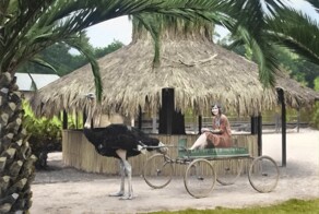 Подборка интересных и необычных фотографий из США