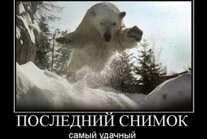 Свежие и прикольные демотиваторы