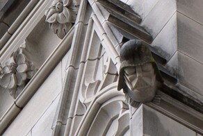 5 тайных и очень забавных посланий готических соборов